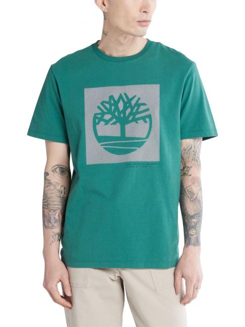 TIMBERLAND GRAPHIC T-shirt avec graphique arbre bouquet vert - T-shirt