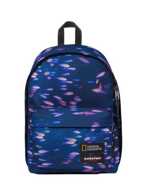 EASTPAK OUT OF OFFICE BY NATIONAL GEOGRAPHIC Sac à dos pour ordinateur portable 13" poisson - Sacs à dos pour l'École & les Loisirs