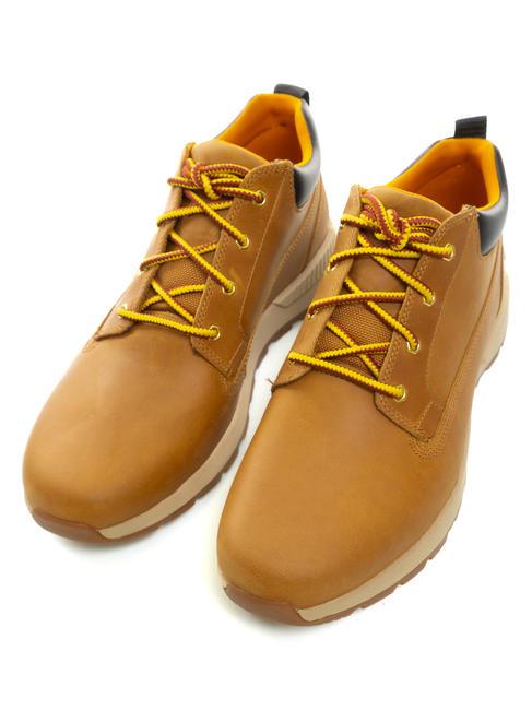 TIMBERLAND KILLINGTON LOW Baskets en cuir blé - Chaussures Homme