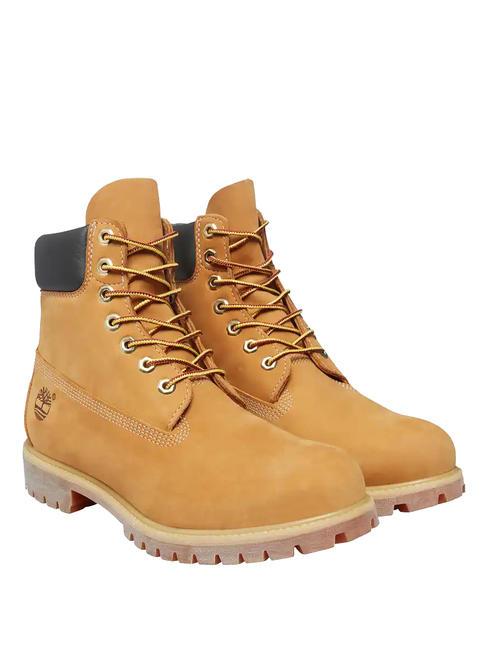 TIMBERLAND 6 INCH  Bottines en cuir jaune - Chaussures unisexe