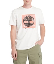 TIMBERLAND SHORT SLEEVE T-shirt en coton - T-shirt