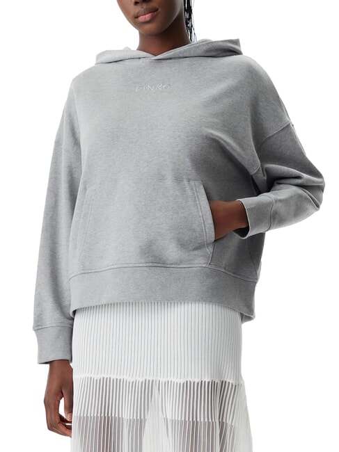 PINKO MAKAMBA Sweatshirt à capuche bruine grise - Sweat-shirts pour femmes