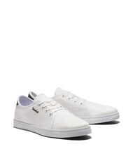 TIMBERLAND SHAPE PARK LOW  Baskets - Chaussures Homme