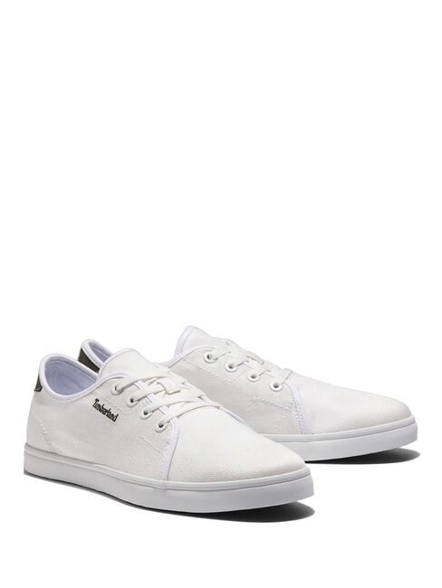 TIMBERLAND SHAPE PARK LOW  Baskets blanc de blanc - Chaussures Homme