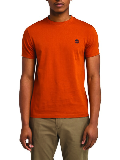 TIMBERLAND SS DUNRIVER CREW T-shirt en cotton ombre - T-shirt