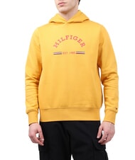 TOMMY HILFIGER TH 1985 Sweatshirt à capuche - Pulls molletonnés