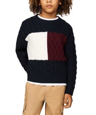 TOMMY HILFIGER TH KIDS Pull col rond - Tee-shirt enfant
