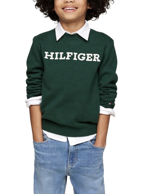 TOMMY HILFIGER TH KIDS pull à col rond vert ornemental - Pulls pour enfants