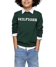 TOMMY HILFIGER TH KIDS pull à col rond - Pulls pour enfants