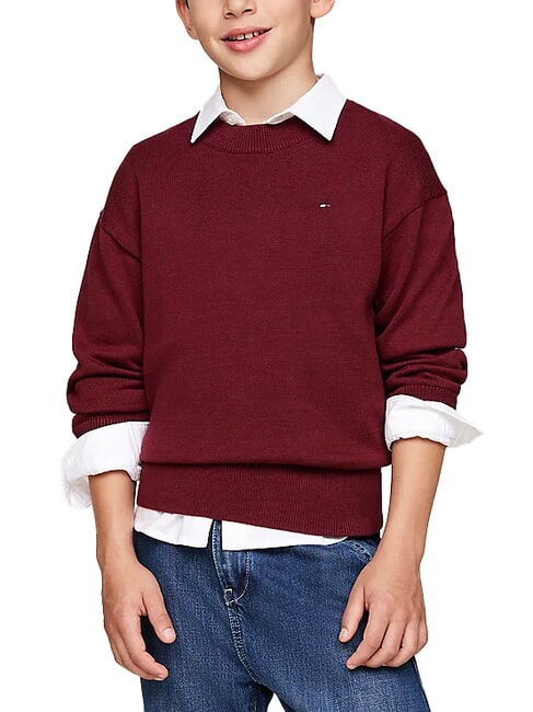 TOMMY HILFIGER TH KIDS Pull ras du cou en coton rouge foncé - Pulls pour enfants