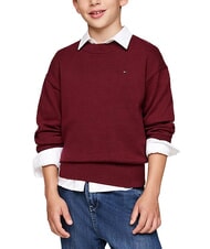 TOMMY HILFIGER TH KIDS Pull ras du cou en coton - Pulls pour enfants