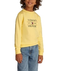 TOMMY HILFIGER TH KIDS Sweat-shirt &agrave; col rond imprim&eacute; citronnelle - B&eacute;b&eacute; Sweat - 1