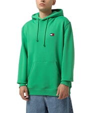 TOMMY HILFIGER TH JEANS Sweat &agrave; capuche avec &eacute;cusson drapeau vert c&ocirc;tier - Pulls molletonn&eacute;s - 1