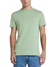 TIMBERLAND SS DUNRIVER CREW T-shirt en cotton pro Green Bay - T-shirt - 1