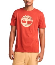 TIMBERLAND KBEC RIVER T-shirt &agrave; manches courtes - T-shirt
