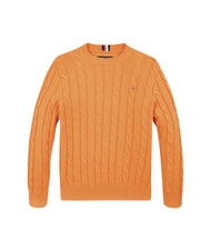TOMMY HILFIGER TH KIDS Pull en coton pour b&eacute;b&eacute; tonnerre orange - Pulls pour enfants - 1