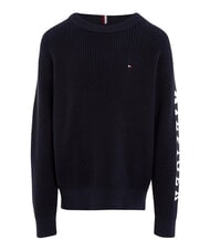 TOMMY HILFIGER TH pull en coton &agrave; col rond ciel du d&eacute;sert - Pulls pour enfants - 1