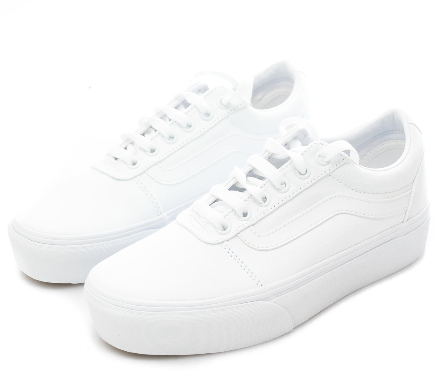 vans ward canvas white