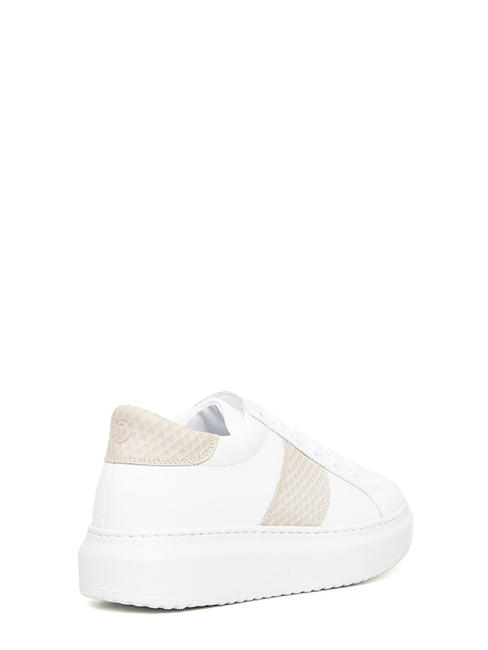 GISA Baskets en cuir multi / vanille - Chaussures Femme