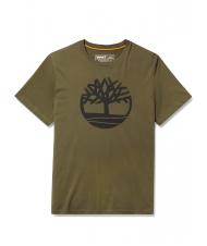 TIMBERLAND KBEC RIVER T-shirt &agrave; manches courtes feuille de vigne - T-shirt - 5