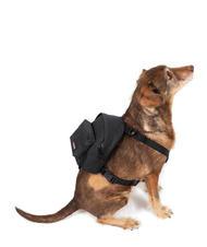 EASTPAK DOG PAK'R Mini sac à dos pour chien - Articles pour animaux
