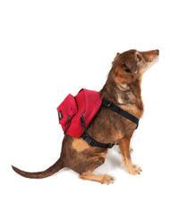 EASTPAK DOG PAK'R Mini sac à dos pour chien Sailor Red - Articles pour animaux - 2