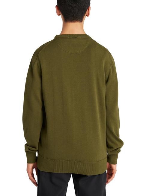 WILLIAMS RIVER Pull ras du cou sombreolive - Pulls pour hommes