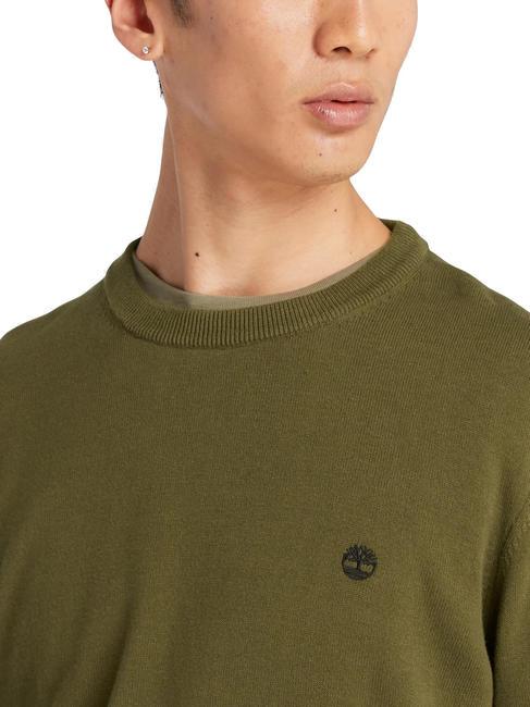 WILLIAMS RIVER Pull ras du cou sombreolive - Pulls pour hommes