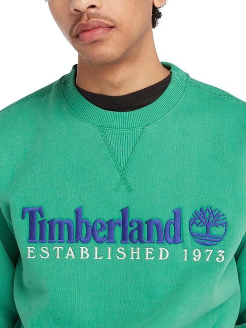 ESTABILISHED 1973 Sweat col rond vert celtique wb - Pulls molletonnés