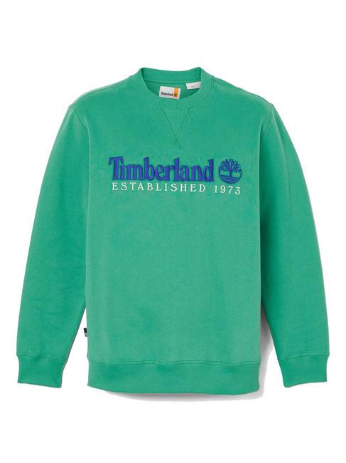 ESTABILISHED 1973 Sweat col rond vert celtique wb - Pulls molletonnés