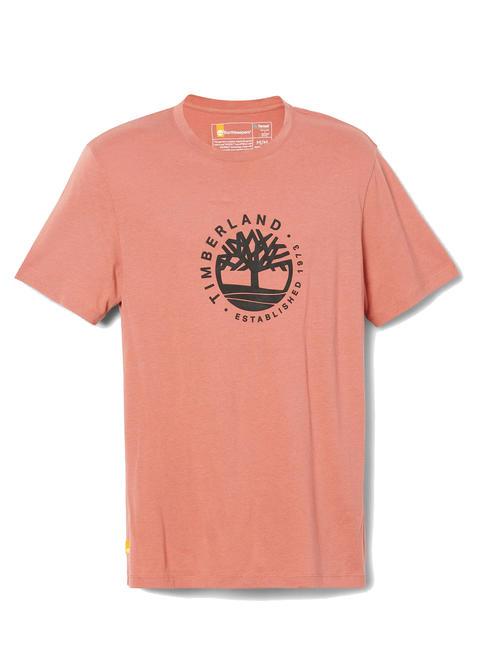 SS REFIBRA T-shirt en cotton acajou clair - T-shirt