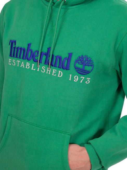 LS  Sweatshirt à capuche vert celtique wb - Pulls molletonnés