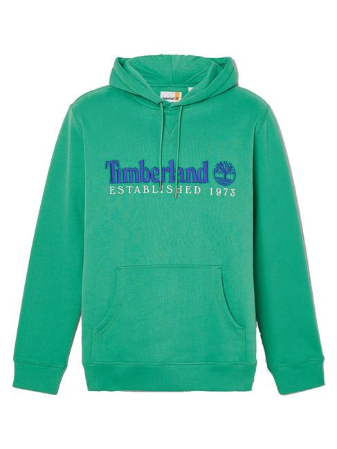 LS  Sweatshirt à capuche vert celtique wb - Pulls molletonnés