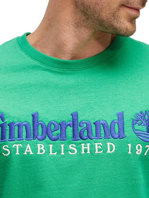 ESTABILISHED 1973 T-shirt en cotton vert celtique wb - T-shirt
