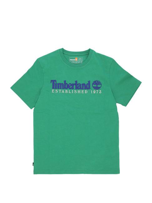 ESTABILISHED 1973 T-shirt en cotton vert celtique wb - T-shirt