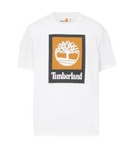 TIMBERLAND STACK LOGO T-shirt en cotton blanc - T-shirt - 3