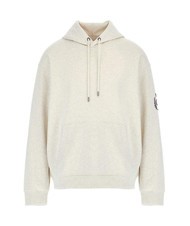 GUESS CHENILLE  Sweatshirt à capuche Eli vieille bruyère - Pulls molletonnés - 3