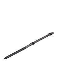 COCCINELLE PET CAPSULE M Collier pour chien MUL.FRU.NOIR / NO - Articles pour animaux - 2