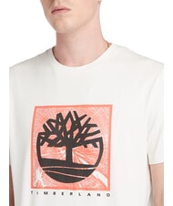 TIMBERLAND SHORT SLEEVE T-shirt en coton millésime blanc - T-shirt - 3