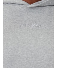 PINKO MAKAMBA Sweatshirt à capuche bruine grise - Sweat-shirts pour femmes - 6