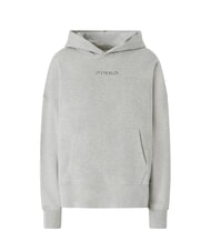 PINKO MAKAMBA Sweatshirt à capuche bruine grise - Sweat-shirts pour femmes - 4