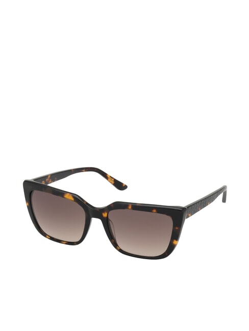 CAT Lunettes de soleil havane foncé/marron dégradé - Lunettes femme