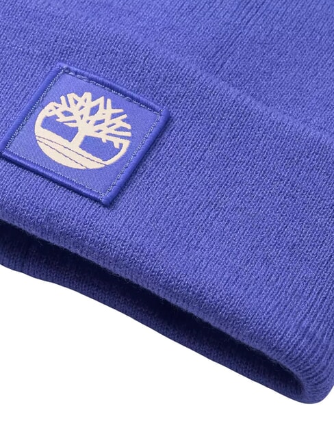 TONAL PATCH  Chapeau à revers bleu éblouissant - Bonnets
