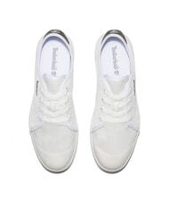 TIMBERLAND SHAPE PARK LOW  Baskets blanc de blanc - Chaussures Homme - 3