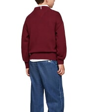 TOMMY HILFIGER TH KIDS Pull ras du cou en coton - Pulls pour enfants