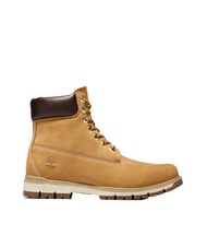 TIMBERLAND RADFORD Bottines en cuir - Chaussures Homme