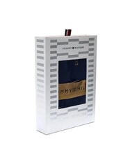 TOMMY HILFIGER TH Kit : Slip + Chaussettes contour du drapeau/ciel du d&eacute;sert - Slip homme - 4