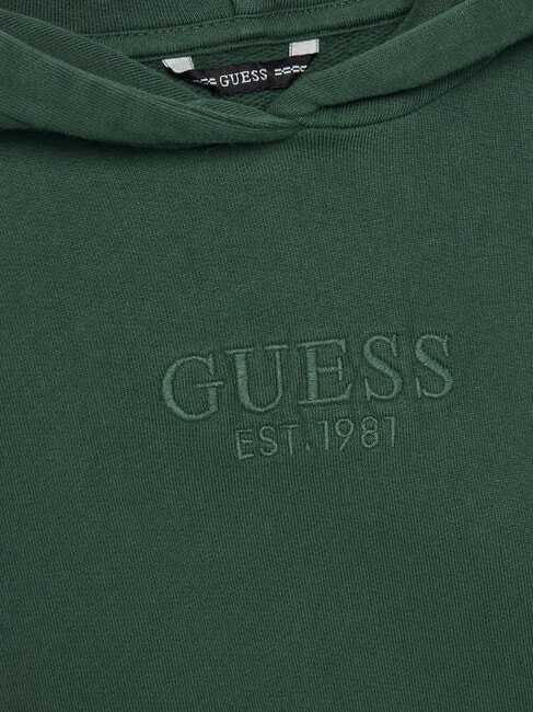 KIDS Sweat-shirt enfant avec capuche et poche vert r&eacute;tro - B&eacute;b&eacute; Sweat