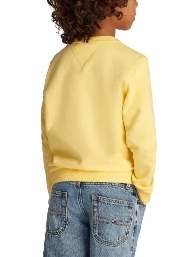 TH KIDS Sweat-shirt &agrave; col rond imprim&eacute; citronnelle - B&eacute;b&eacute; Sweat