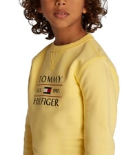 TOMMY HILFIGER TH KIDS Sweat-shirt &agrave; col rond imprim&eacute; citronnelle - B&eacute;b&eacute; Sweat - 3